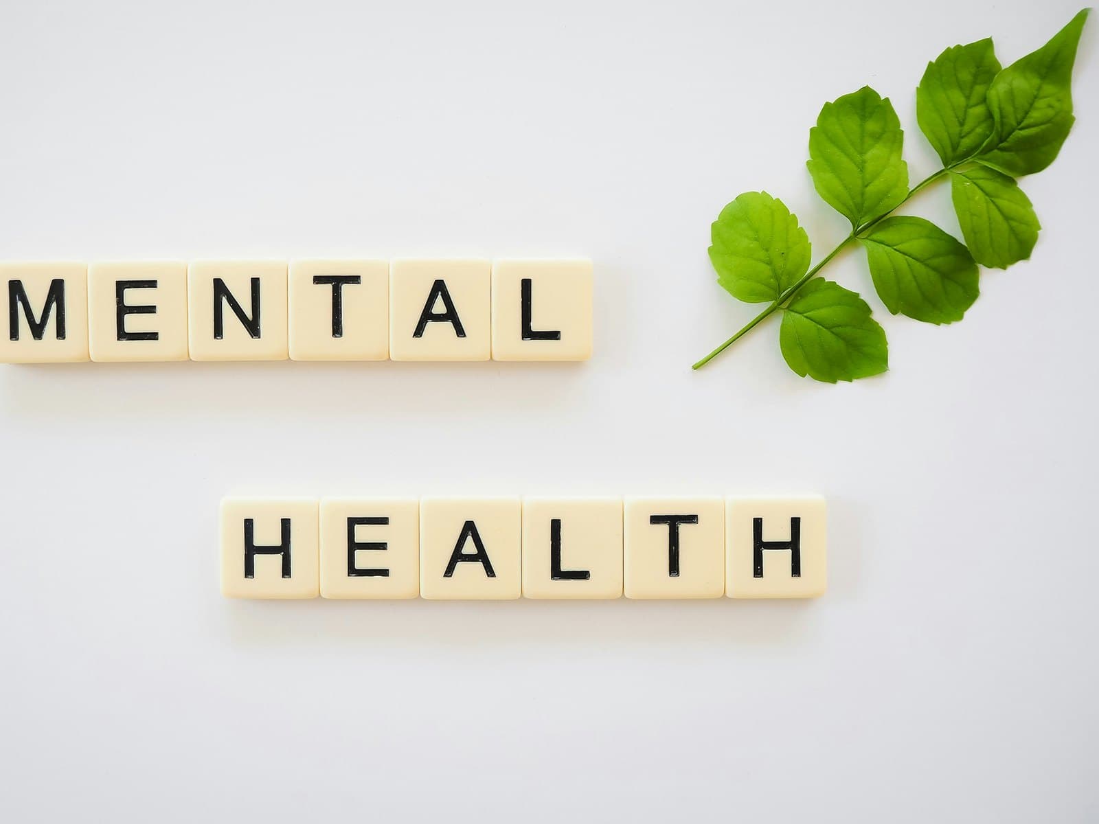 Mental Wellness